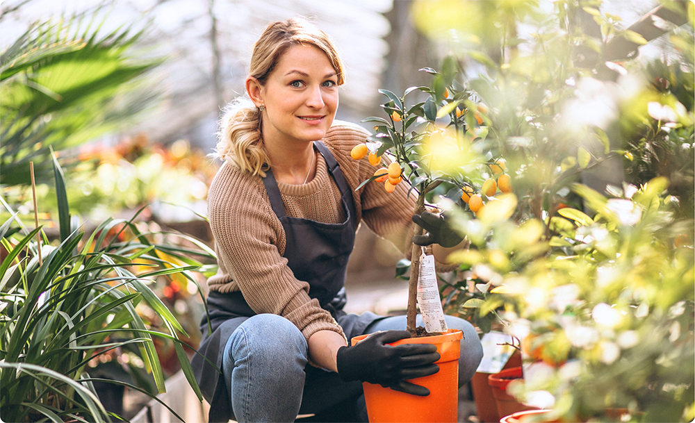 mpluskassa, kassa voor tuincentrum